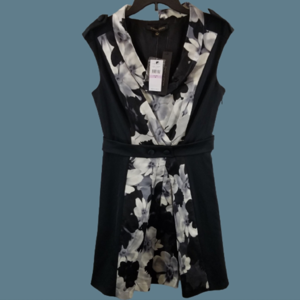 NWT Cynthia Steffe Professional Skeeveless Silk Blend Dress